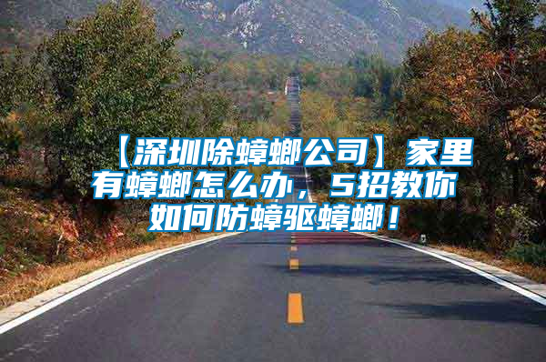 【深圳除蟑螂公司】家里有蟑螂怎么辦，5招教你如何防蟑驅蟑螂！