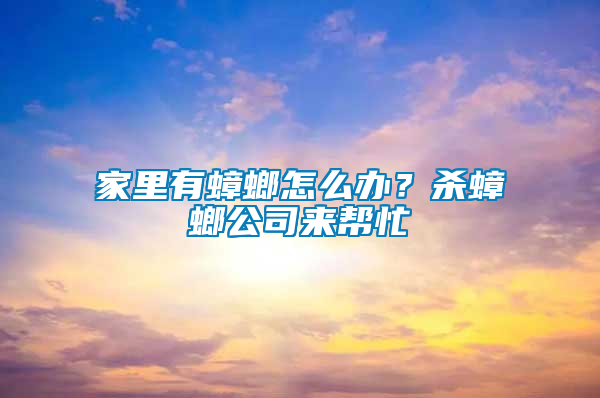 家里有蟑螂怎么辦？殺蟑螂公司來幫忙