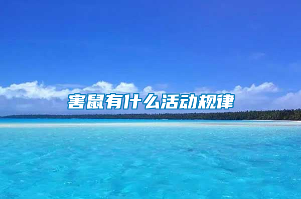 害鼠有什么活動規律