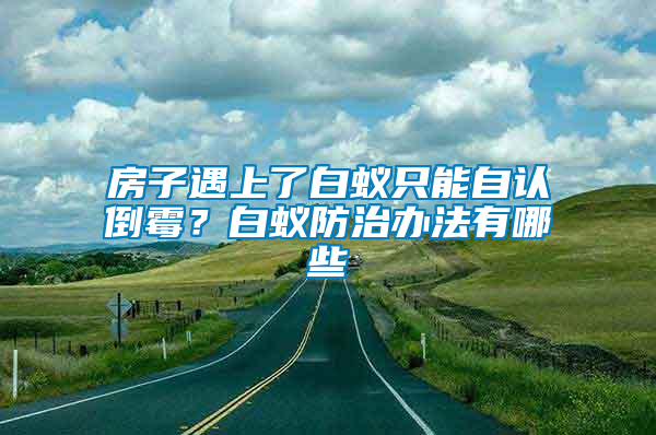 房子遇上了白蟻只能自認倒霉？白蟻防治辦法有哪些