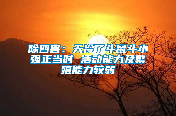 除四害：天冷了斗鼠斗小強正當(dāng)時 活動能力及繁殖能力較弱