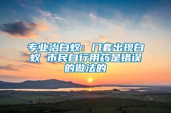 專業治白蟻：門套出現白蟻 市民自行用藥是錯誤的做法的