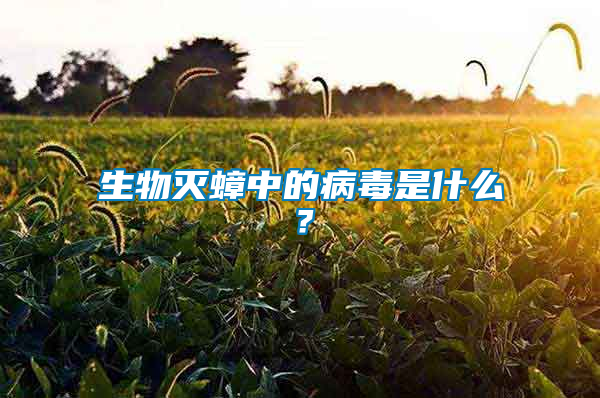 生物滅蟑中的病毒是什么？