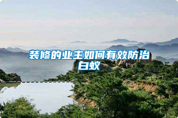 裝修的業主如何有效防治白蟻