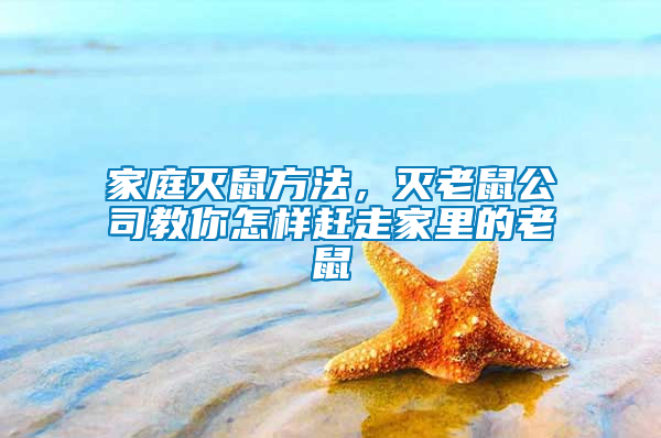家庭滅鼠方法，滅老鼠公司教你怎樣趕走家里的老鼠