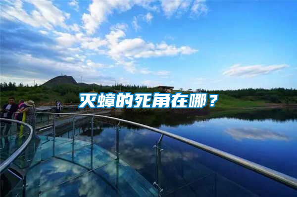 滅蟑的死角在哪？