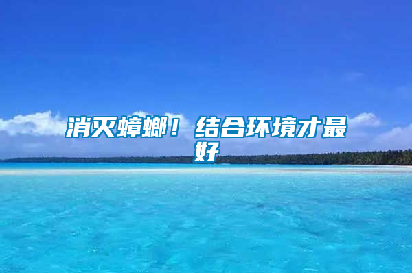 消滅蟑螂！結合環境才最好