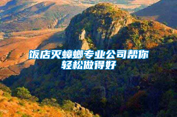 飯店滅蟑螂專業公司幫你輕松做得好
