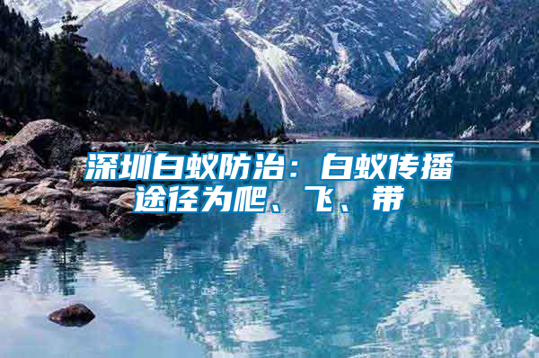 深圳白蟻防治：白蟻傳播途徑為爬、飛、帶