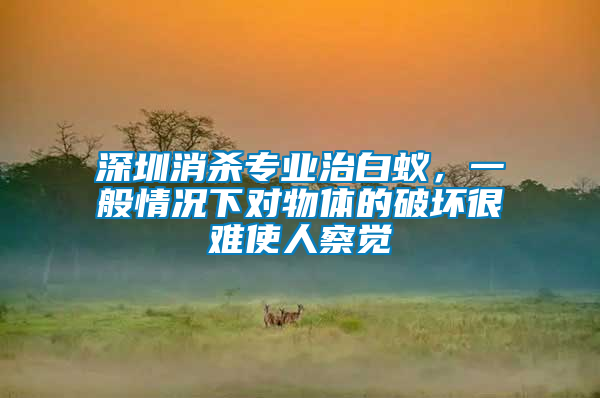 深圳消殺專業治白蟻，一般情況下對物體的破壞很難使人察覺