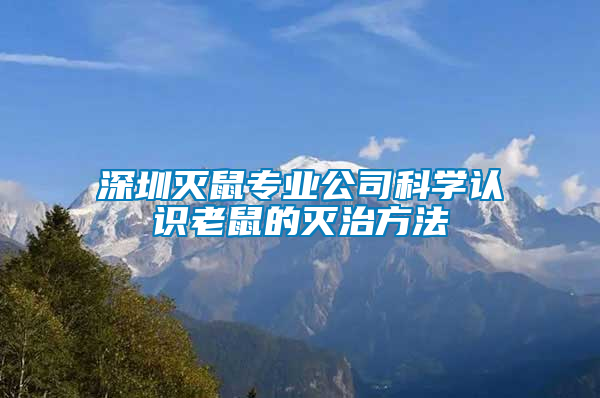 深圳滅鼠專業公司科學認識老鼠的滅治方法