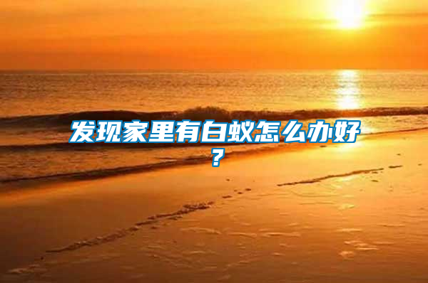 發現家里有白蟻怎么辦好？