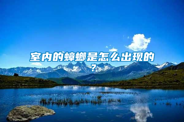 室內的蟑螂是怎么出現的？