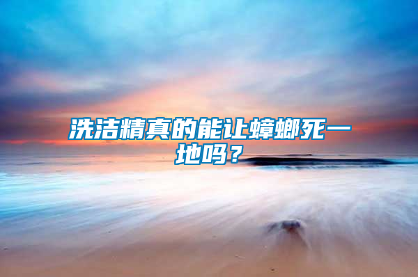 洗潔精真的能讓蟑螂死一地嗎？