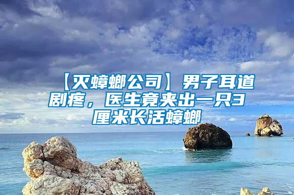 【滅蟑螂公司】男子耳道劇疼，醫生竟夾出一只3厘米長活蟑螂