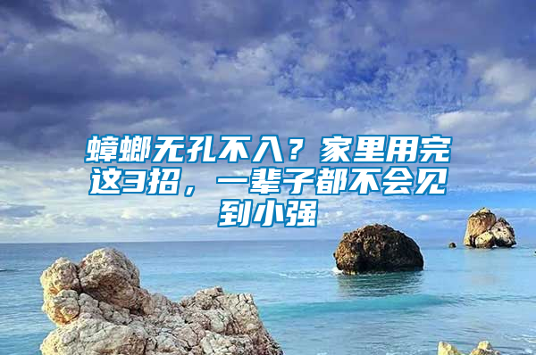 蟑螂無孔不入？家里用完這3招，一輩子都不會見到小強