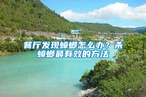 餐廳發現蟑螂怎么辦？殺蟑螂最有效的方法