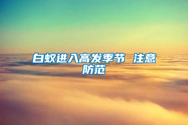 白蟻進入高發季節 注意防范