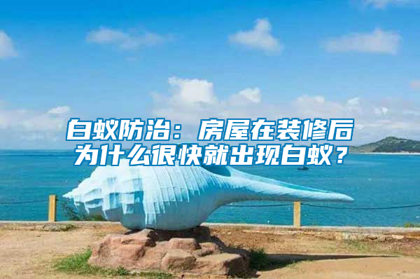 白蟻防治：房屋在裝修后為什么很快就出現白蟻？