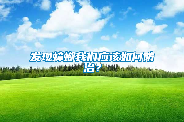 發(fā)現(xiàn)蟑螂我們應(yīng)該如何防治？