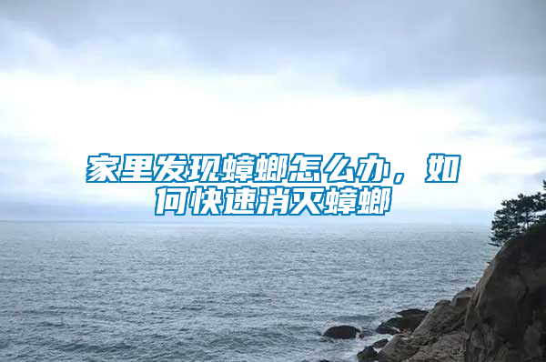 家里發現蟑螂怎么辦，如何快速消滅蟑螂