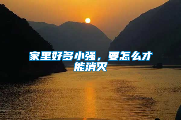 家里好多小強，要怎么才能消滅