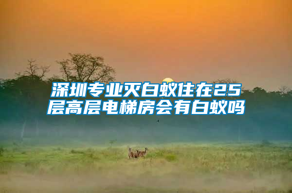 深圳專(zhuān)業(yè)滅白蟻?zhàn)≡?5層高層電梯房會(huì)有白蟻嗎