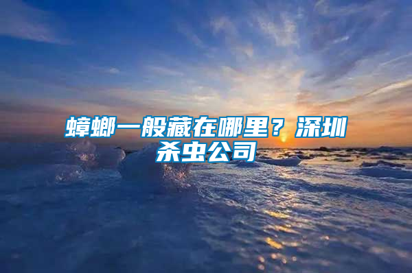 蟑螂一般藏在哪里？深圳殺蟲公司