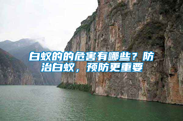 白蟻的的危害有哪些？防治白蟻，預防更重要