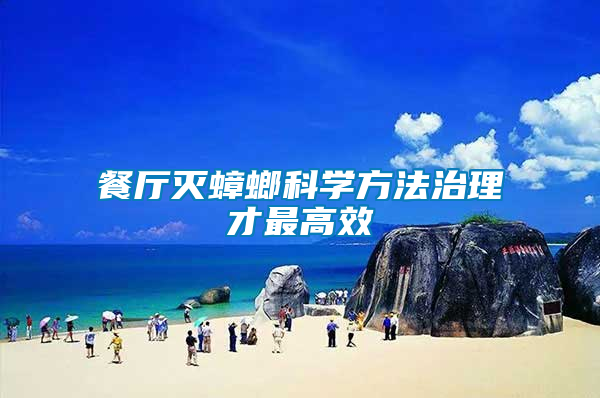 餐廳滅蟑螂科學方法治理才最高效
