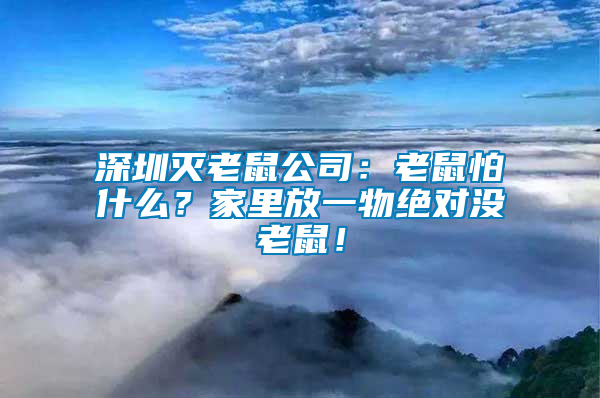 深圳滅老鼠公司：老鼠怕什么？家里放一物絕對(duì)沒(méi)老鼠！