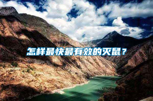 怎樣最快最有效的滅鼠？