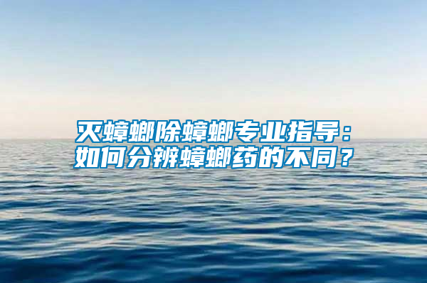 滅蟑螂除蟑螂專業指導：如何分辨蟑螂藥的不同？