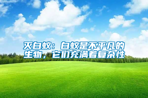 滅白蟻：白蟻是不平凡的生物，它們充滿著復雜性