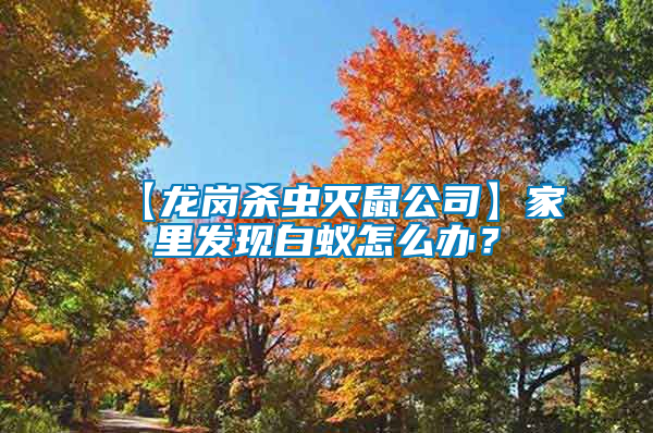 【龍崗殺蟲滅鼠公司】家里發現白蟻怎么辦？