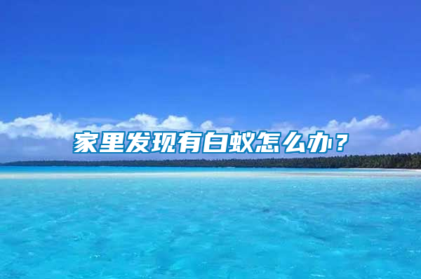 家里發現有白蟻怎么辦？