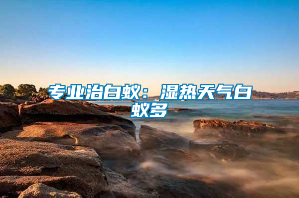 專(zhuān)業(yè)治白蟻：濕熱天氣白蟻多