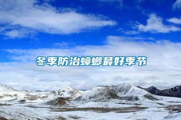 冬季防治蟑螂最好季節