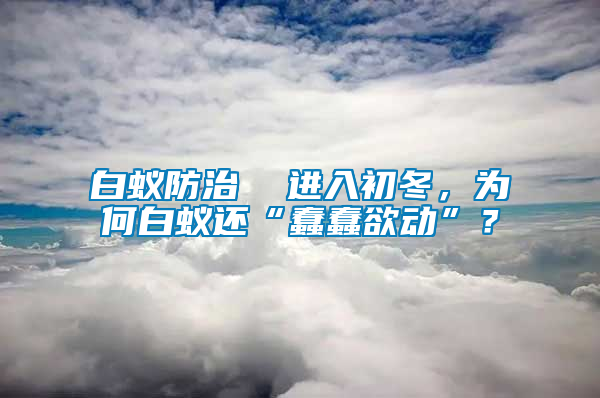白蟻防治  進入初冬，為何白蟻還“蠢蠢欲動”？