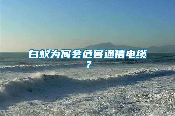 白蟻為何會危害通信電纜？